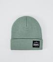 Paradise 2022 Beanie Men Faded Green