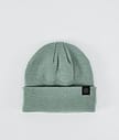 Solitude 2022 Beanie Men Faded Green
