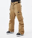 Iconic Snowboardhose Herren Gold
