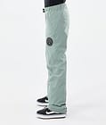 Blizzard W Pantaloni Snowboard Donna Faded Green, Immagine 3 di 5