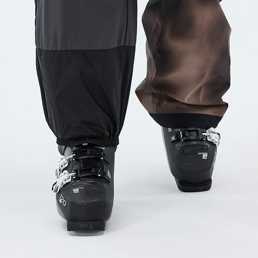 Elastische Sneeuwvanger
