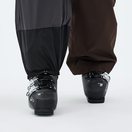Elastische Sneeuwvanger