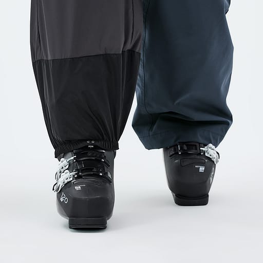 Elastische Sneeuwvanger