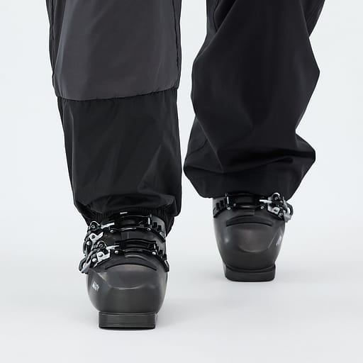 Elastische Sneeuwvanger