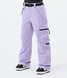 Apex W Kalhoty na Snowboard Dámské Faded Violet