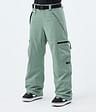Apex W Kalhoty na Snowboard Dámské Faded Green