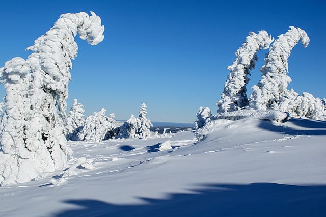 Arber Skigebiet Arber Skigebiet