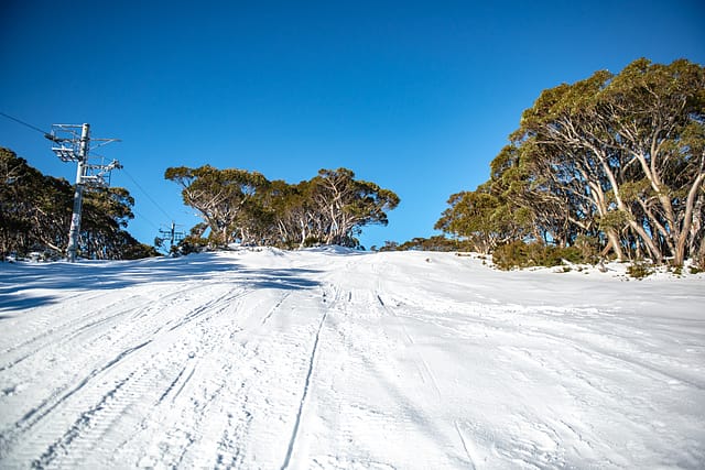 Mount St Gwinear, Victoria